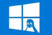windows11 系统wsl的安装 配置目录挂载 驱动NVIDIA 安装DockerDesktop