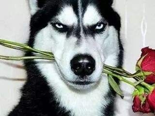 请参阅 https:/go.microsoft.com/fwlink/?LinkID=135170 中的 about_Execution_Policies