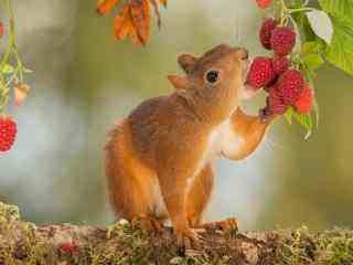 zblogPHP有用的代码收集