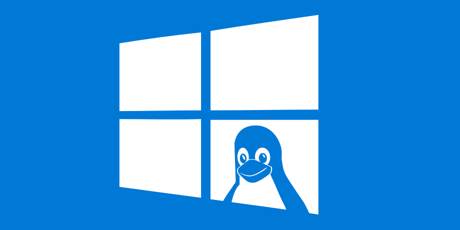  windows11 系统wsl的安装 配置目录挂载 驱动NVIDIA 安装DockerDesktop 知识探索
